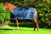 A brown horse wearing a navy blue blanket stands in a grassy field with trees in the background. Produktbild-Vorschau
