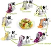 A collage of a spiralizer being used to prepare different vegetables, with a salad in the center. Produktbild-Vorschau