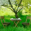 Two chairs and a table set up in a grassy garden under a flowering tree. Náhled obrázku produktu