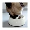 DOGIT Go-Slow Anti-Schling-Napf Weiss 600 ml Produktbild-Vorschau 4
