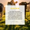 MuchoWow® - Leinwandbilder - Kühe - Sonne - Gras - Tiere - Produktbild-Vorschau 8