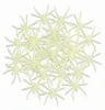 WIDMANN S.R.L. Spinnen, fluorescerend, 42 stuks Productafbeelding-voorbeeld 2