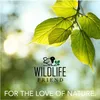WILDLIFE FRIEND Vogelbad & Futterspender zum Stehen für Produktbild-Vorschau 7
