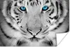 MuchoWow® Poster Tiger - Kopf - Nase 60x40 cm - Produktbild-Vorschau 1