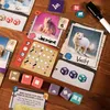 The Fox Experiment - Gra planszowa - Edycja ENG Podgląd zdjęcia produktu 6