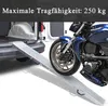 LARS360 Rampe d'accès 2 rampes de chargement Rampe de Voir les images du produit 8