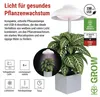 Pflanzenlampe LED Vollspektrum, 15 LEDs, für Innenräume, mit Zeitschaltuhr Náhľad obrázku produktu