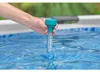 Flotteur thermomètre pour piscine BESTWAY 58072 Voir les images du produit 7