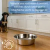 A dog is looking at a stainless steel bowl on a wooden floor in a kitchen. Produktbild-Vorschau