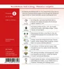 Dürr-Samen - Buschbohnen Red Kidney - Saatgut - 0334 Produktbild-Vorschau 3