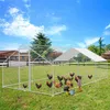Jopassy pollaio all'aperto grande casa per polli tetto Anteprima dell’immagine prodotto 6
