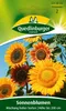 Sonnenblume, Mischung hoher Sorten Produktbild-Vorschau 1