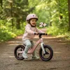 Detské odrážadlo Detské odrážadlo Balance Bike Odrážadlo Náhľad obrázku produktu 12