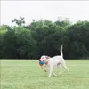 Chuckit! Hundespielzeug Rope Fetch Produktbild-Vorschau 9