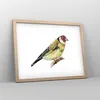 Gerahmtes Poster - Rahmen in heller Eiche - Stieglitz Vogel Produktbild-Vorschau 8