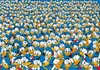 CLE puzzle 1000 Impossibile Paperino 39799 Anteprima dell’immagine prodotto 2