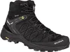 Salewa Schoenen MS Alp Trainer 2 Mid Gtx, 613820971 Productafbeelding-voorbeeld 13