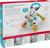Mattel Fisher Price Impara con me girello zebrato Anteprima dell’immagine prodotto 9