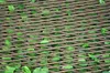 FRANK FLECHTWAREN Sichtschutz Immergrün, variable Produktbild-Vorschau 6