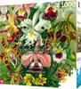 Cenega Imagination, 1000 kusov, Umenie Náhľad obrázku produktu 3