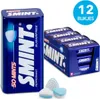 Smint Clean Breath Peppermint Nachfüllpack Big Spar-Pack Produktbild-Vorschau 2
