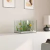 vidaXL Aquarium mit Speicher Transparent 30 x 20 x 20 cm Produktbild-Vorschau 4