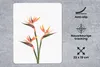 MuchoWow® Mauspad Mousepad Blumen - Orange - Natur - Produktbild-Vorschau 2