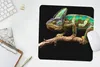 MuchoWow® Mauspad Mousepad Chamäleon - Zweig - Grün 30x30 Produktbild-Vorschau 5