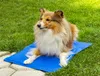 Kühlmatte für Hunde & Katzen, Kühlgel, automatischer Produktbild-Vorschau 2