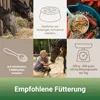 PANTO Kräutermüsli mit Wisan®-Lein – 20 kg Pferdefutter mit Produktbild-Vorschau 4