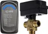 A product shot of a valve actuator and a brass valve. The actuator is gray with black accents and has text and markings on it. The valve is brass and has threaded connections. Anteprima dell’immagine prodotto