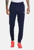 Puma Kalhoty Teamrise Poly Training, 65739006, Taille : 188 Voir les images du produit 2