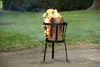 Esschert Design Feuerkorb für Schwedenfeuer Produktbild-Vorschau 5