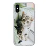 MuchoWow® Handyhülle Schutzhülle Hülle für iPhone X Katze - Produktbild-Vorschau 1