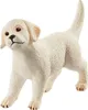 schleich FARM WORLD 42480, Dogs, Farm animals / farm toys, Produktbild-Vorschau 11