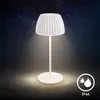 Riffle Mini LED Lampa Stołowa Akumulatorowa Lampa Stołowa Podgląd zdjęcia produktu 11