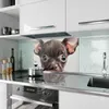 Küchenrückwand Spritzschutz Glas mit Motiv Niedlicher Produktbild-Vorschau 2