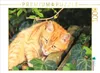 CALVENDO Puzzle Kuschelzeit | 1000 Teile Lege-Größe 64x48cm Produktbild-Vorschau 1