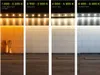 LED Solution COB LED pásek 10W/m 12V bez krytí IP20 Barva Náhled obrázku produktu 6