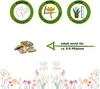Flaschenkürbis Mischung Samen - Lagenaria siceraria - Produktbild-Vorschau 2