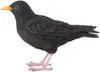 Oiseau décoratif d'extérieur en polyrésine Merle Voir les images du produit 10