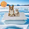1 Stück Dr Pfoten Kühlmatte, PfotenChill - Die Innovative Produktbild-Vorschau 1
