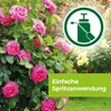 Protect Garden Curamat AZ Rosen-Pilzfrei 2 x 4 ml Produktbild-Vorschau 7