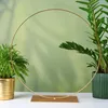 A gold metal ring stand with a rectangular base, placed on a white surface, with two potted plants on either side. The background is a soft, light green with shadows of leaves. Produktbild-Vorschau