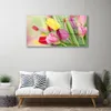 Acrylglasbilder 100x50 Wandbild Druck Tulpen Pflanzen Produktbild-Vorschau 3