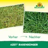 Neudorff Azet RasenDünger Frühjahr 10,05 kg für 201 m² - Produktbild-Vorschau 4