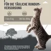 REAVET Premium Katzenfutter nass mit Kaninchen & Produktbild-Vorschau 4
