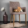 Katzenminze Kissen XL für Katzen | Canadian Cat | Dots mit Produktbild-Vorschau 9