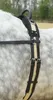 A close-up of a horse's back with a black and beige longeing surcingle attached. Produktbild-Vorschau