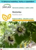 SAFLAX Dárková sada - mučenka - Passiflora edulis - 40 Náhled obrázku produktu 1